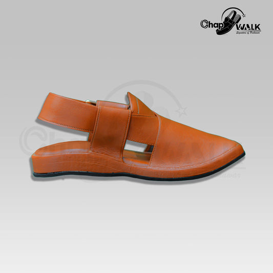 Peshawar Zalmi Shine